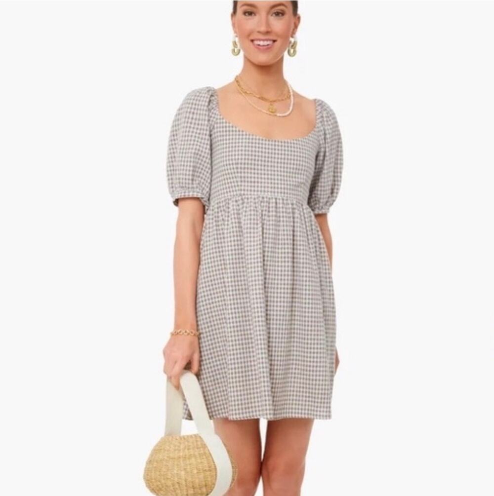 Tuckernuck Pomander Place dress summer Gingham Abigail Mini Large cotton cottage